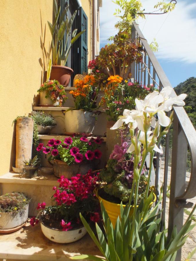 La Casa Di Sveva Apartment รากูซา ภายนอก รูปภาพ